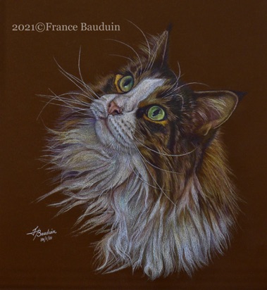 Miss Todnee - 21.5 hours 
Brown Colourfix Smooth
13.5" x 12"
Commission